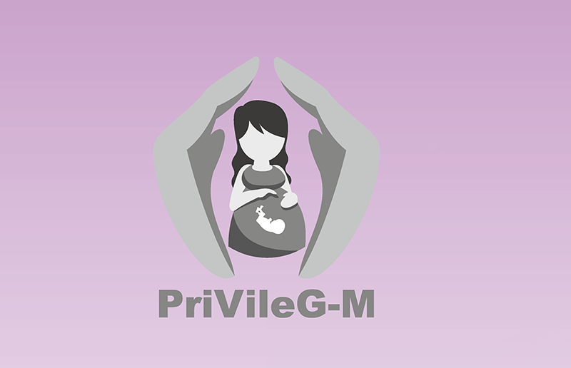 Logo Studie Logo Studie