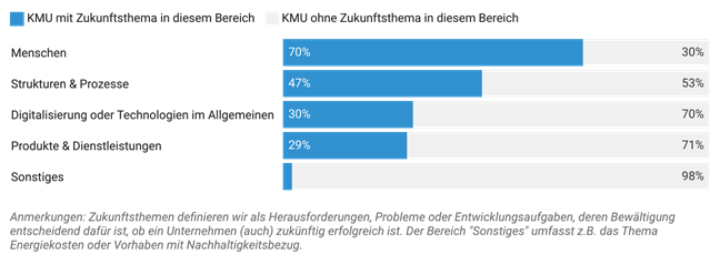 Abbildung 1: Wo verorten KMU ihre Zukunftsthemen für 2025? Grafik, die zeigt, wo KMU ihre Zukunftsthemen für 2025 verorten.