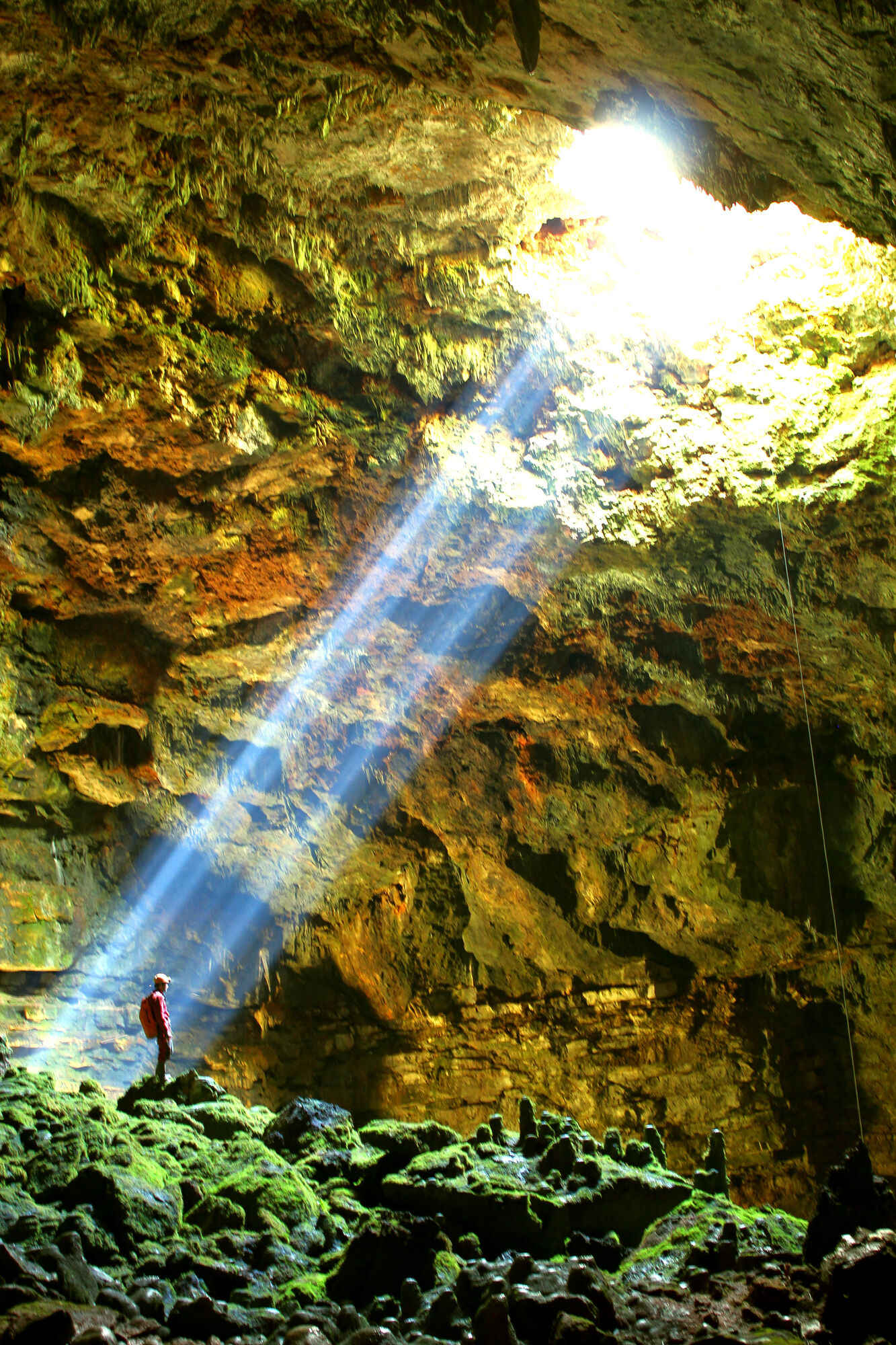 Fledermaushöhle Dieses 40 Meter tiefe Senkloch in Aveyron, Frankreich, war eine der Probenentnahmestellen der Studie. Natürliche Höhlen wie diese dienen Fledermäusen als natürliche Winterquartiere und dem Pilzerreger als Reservoir.