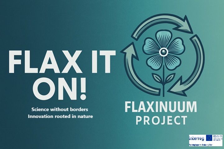 Logo Projekt Flaxinuum Logo Projekt Flaxinuum