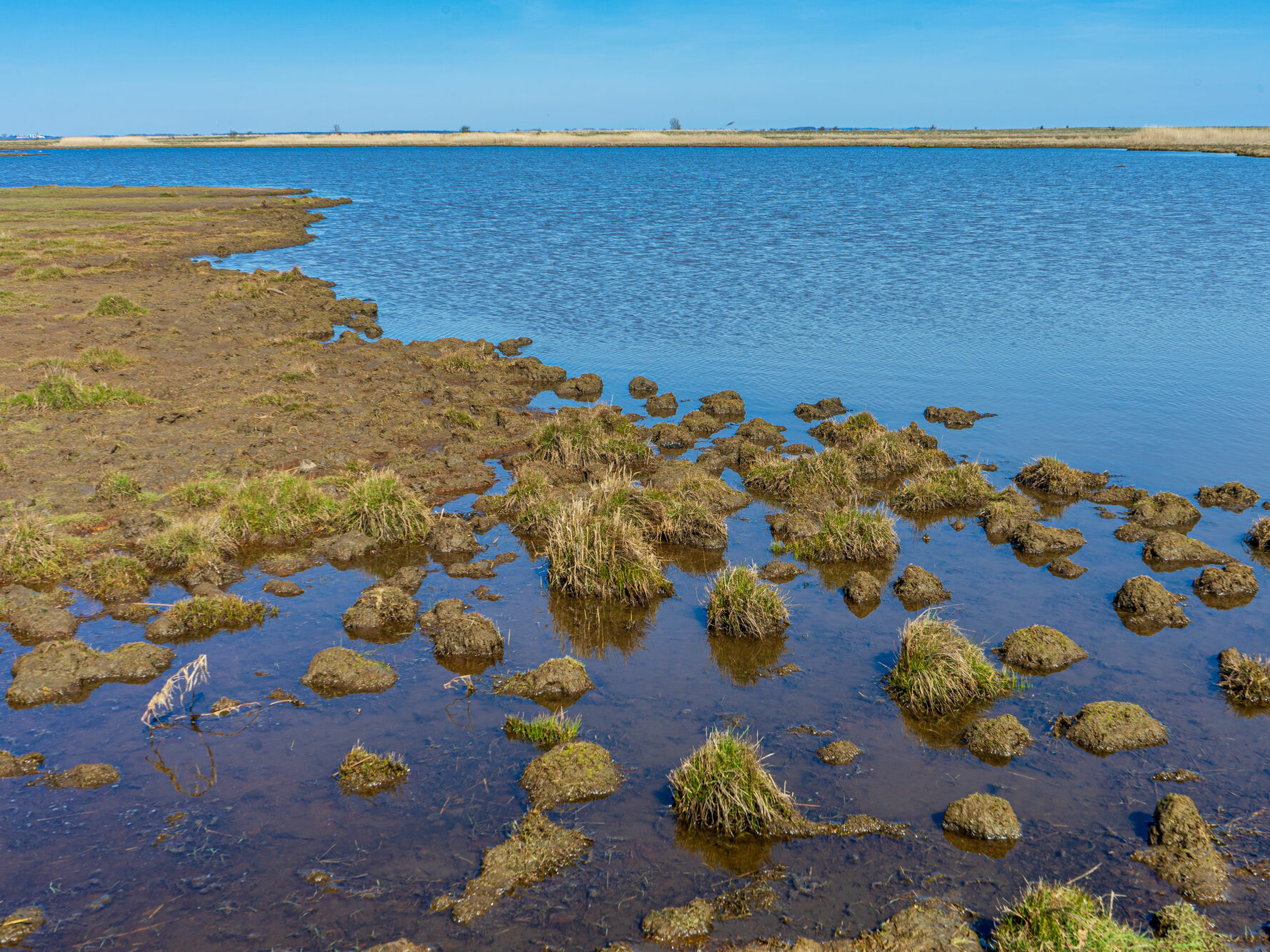 Insel Koos, © Jan Meßerschmidt, 2020