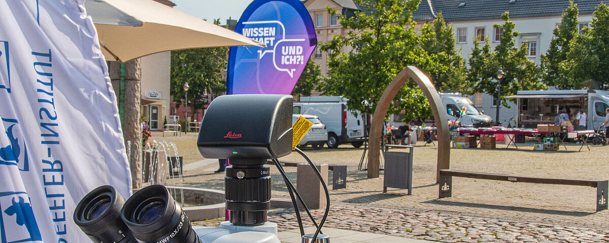 Wissenschaft und ich?! Es ist ein Mirkoskop an einem Stand zu sehen. Dahinter ist der Wochenmarkt der Stadt Pasewalk.