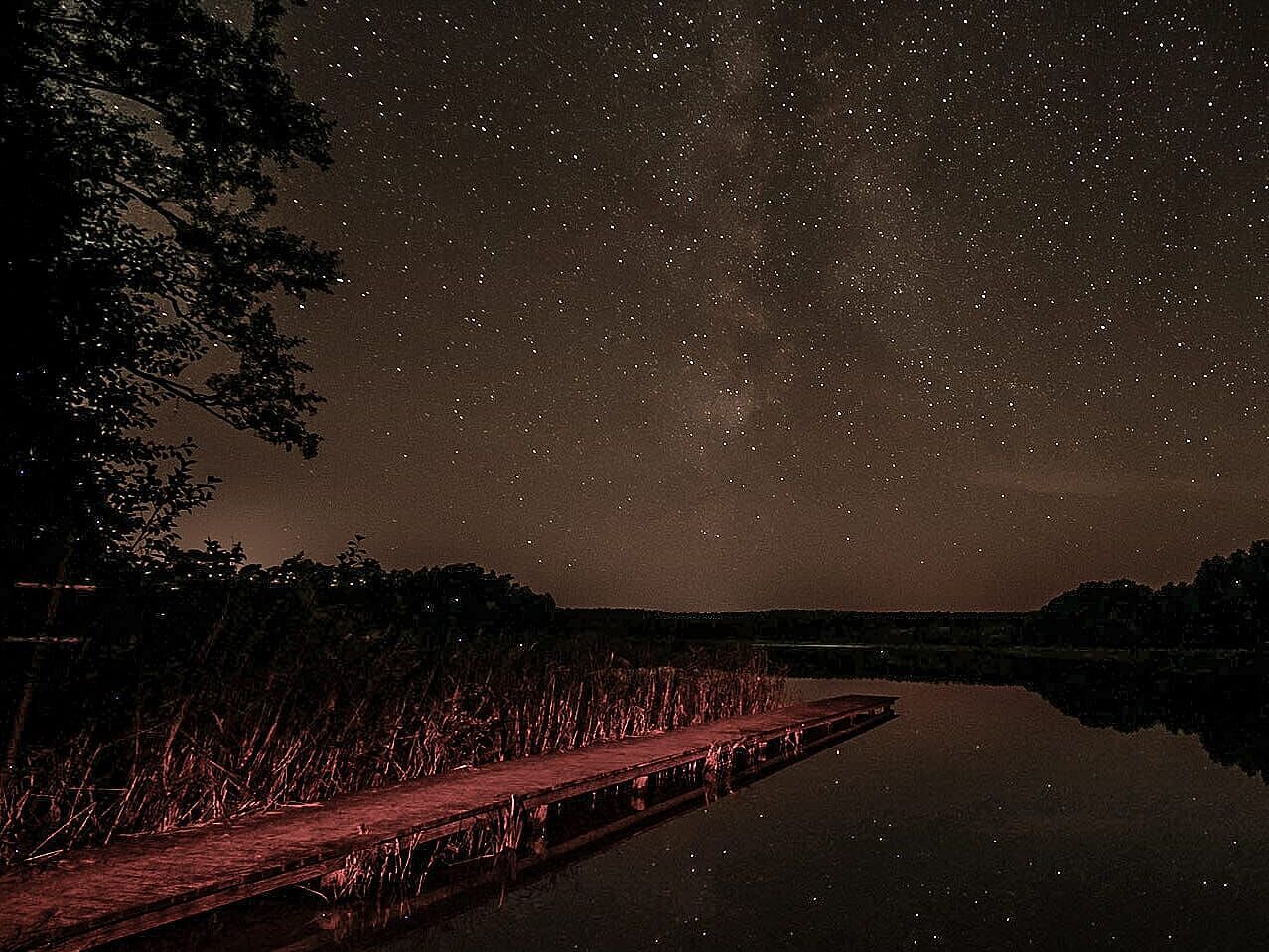 Über einem See funkeln viele Sterne. Links ist Schilf und ein Steg zu sehen.