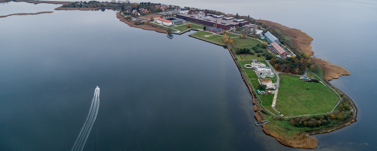 Friedrich-Loeffler-Institute Friedrich Loeffler Institute