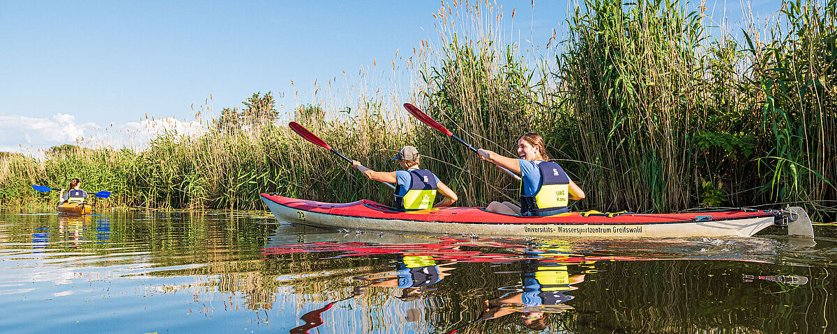 Kanukurs auf dem Ryck Ein Zweier Kanu mit zwei Menschen fährt auf dem Ryck unter blauem Himmel und grünem Schilfgras von dem Fotograf weg. Im Hintergrund erkennet man weitere Kanus des Kurses.