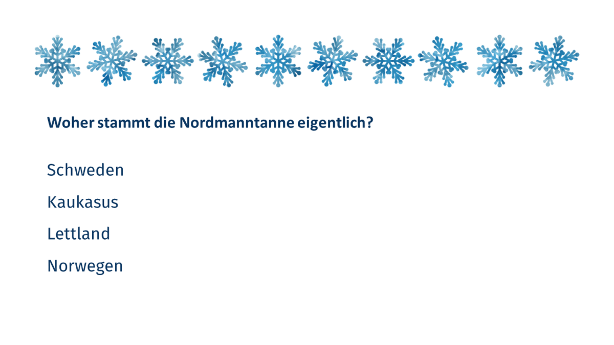 Quizfrage 5: Woher stammt die Nordmanntanne eigentlich? a.	Schweden b.	Kaukasus c.	Norwegen d.	Lettland