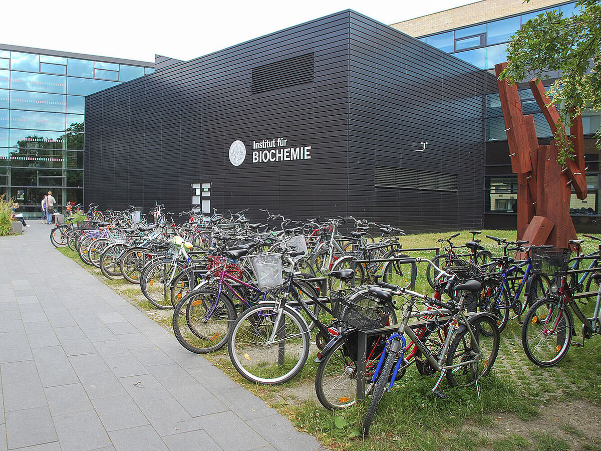 Symbolbild Gebäude der Biochemie Vor dem Gebäude der Biochemie stehen viele Fahrräder