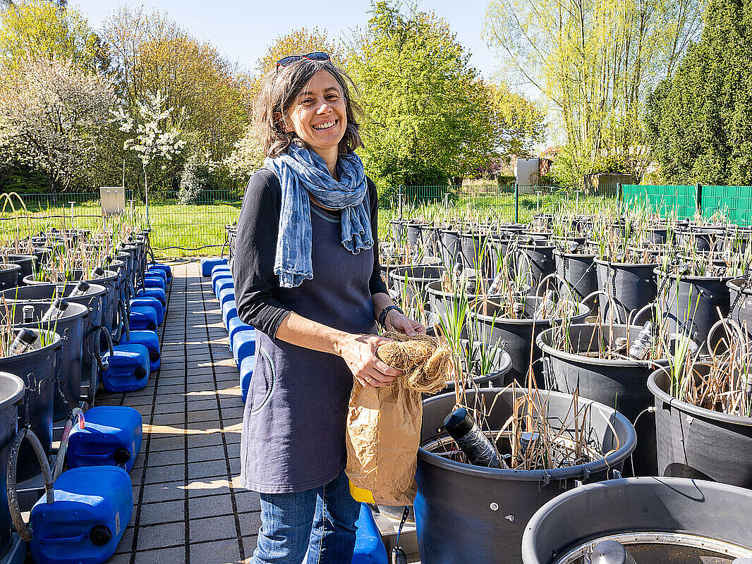 Dr. Franziska Tanneberger Dr. Franziska Tanneberger in der Mesokosmenanlage