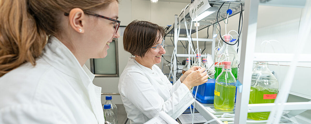 Stock image: Researchers in a laboratory In a white laboratory, test tubes containing colourful liquids are lined up on a shelf. At the front left, a member of staff is taking notes, whilst an older colleague is examining the liquids.