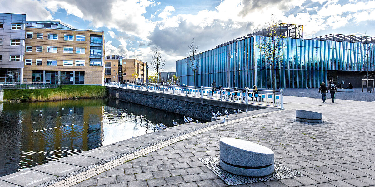 Campus Beitzplatz Die gläsener Mensa rechts nebem dem Uniklinikum. im Vordergrund ist ein Teich, an dem einige Möwen sitzen.