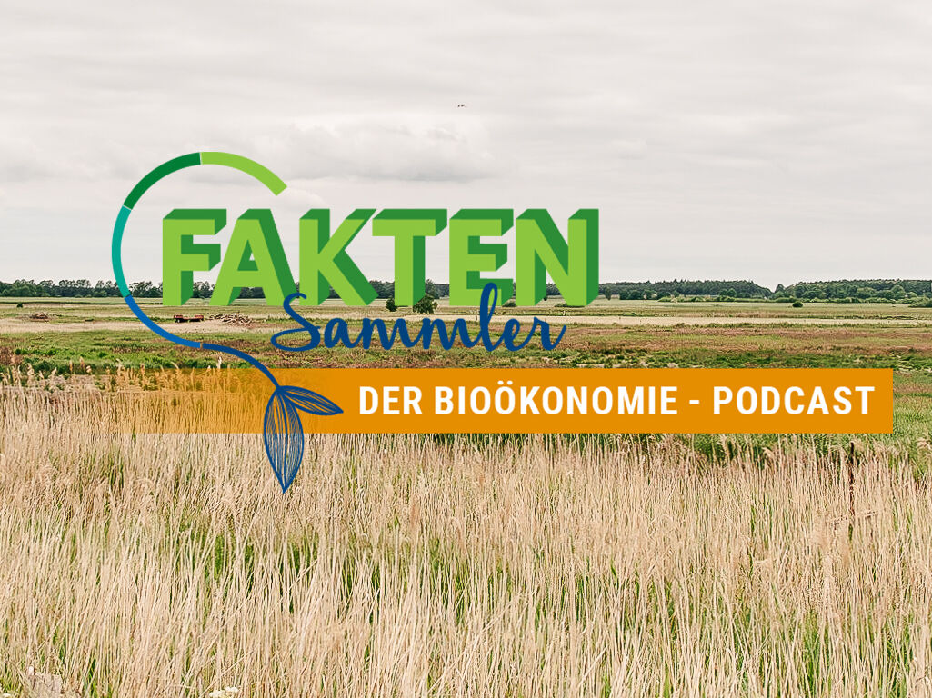 Titelbild FaktenSammler, ©Ole-Kracht, 2020 Titelbild FaktenSammler, ©Ole-Kracht, 2020