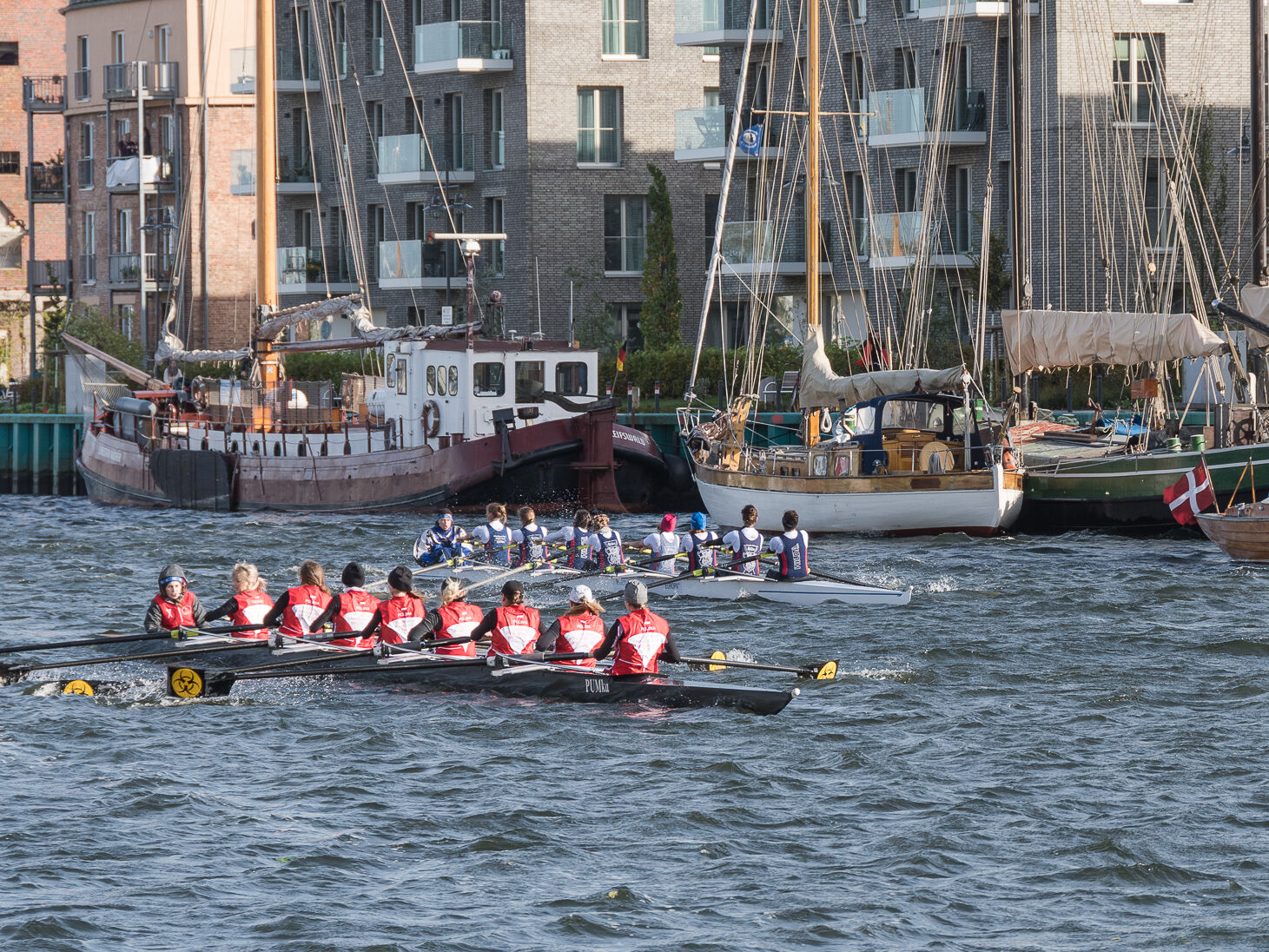 Ruderregatta Ruderregatta Greifswald-Stettin