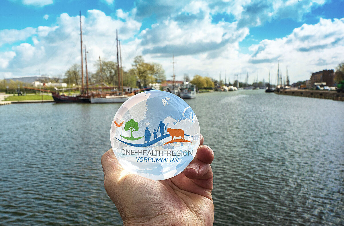 Motiv One-Health-Region Motivbild für One-Health-Region Vorpommern. In einer Glaskugel ist das Signet der gesunden region zu sehen. Dahinter ist der Museumshafen Greifswald im Bild.