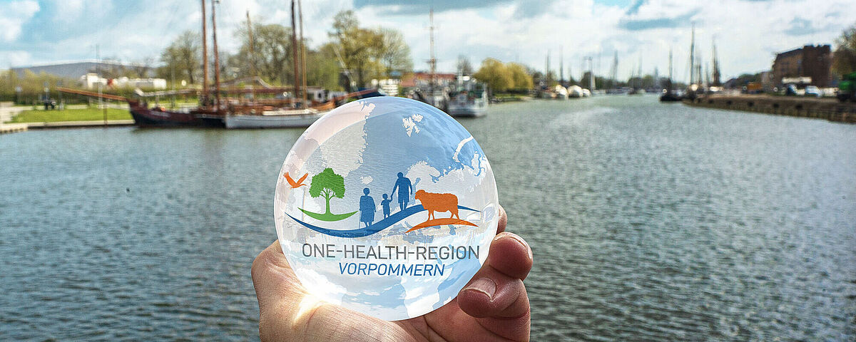 Motiv One-Health-Region Motivbild für One-Health-Region Vorpommern. In einer Glaskugel ist das Signet der gesunden region zu sehen. Dahinter ist der Museumshafen Greifswald im Bild.