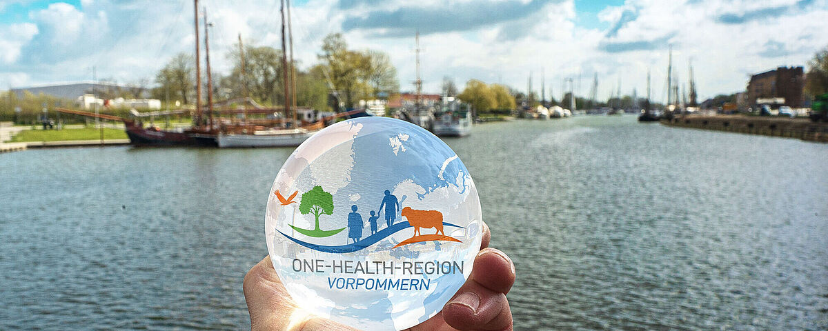 Motiv One-Health-Region Motivbild für One-Health-Region Vorpommern. In einer Glaskugel ist das Signet der gesunden region zu sehen. Dahinter ist der Museumshafen Greifswald im Bild.