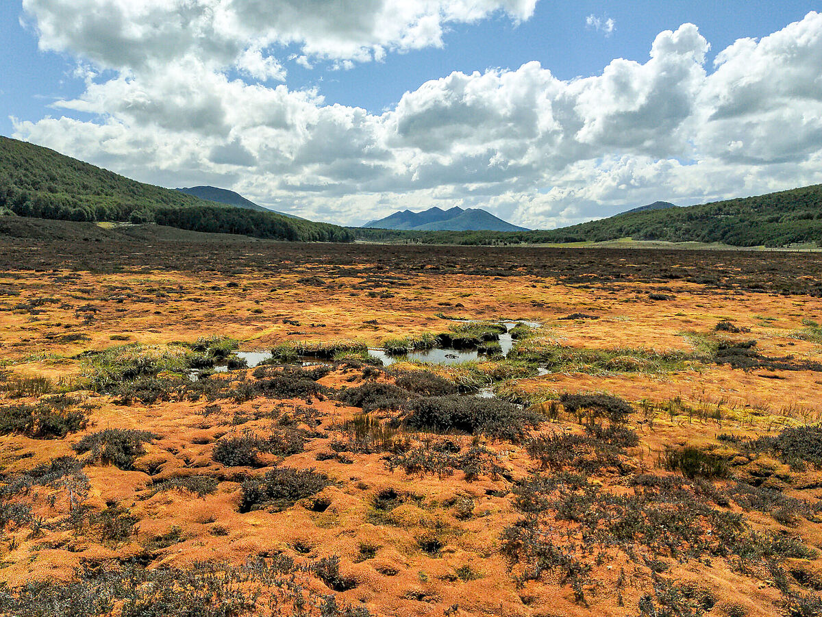 Moorlandschaft in Feuerland (Bright Spot Turba Tol) Moorlandschaft in Feuerland (Bright Spot Turba Tol)